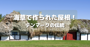 デンマークのレス島 海草葺き屋根